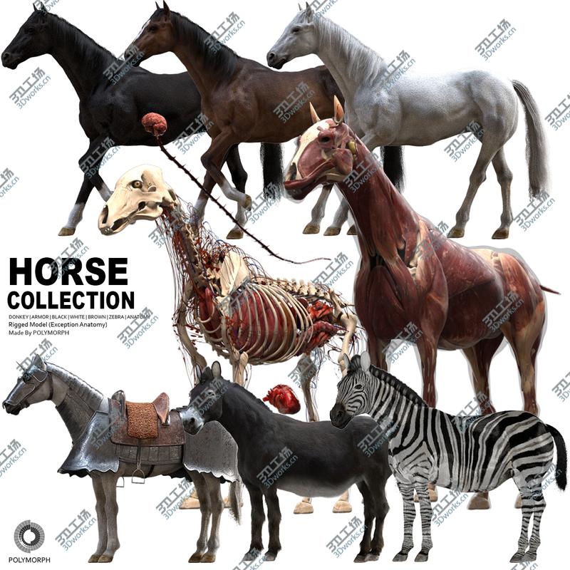 images/goods_img/202104094/Horse Collection (Rigged) 3D model/1.jpg